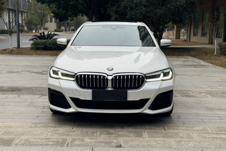 Used BMW 5 Series 2021 530Li Leading Model M Sport Package Exterior 3