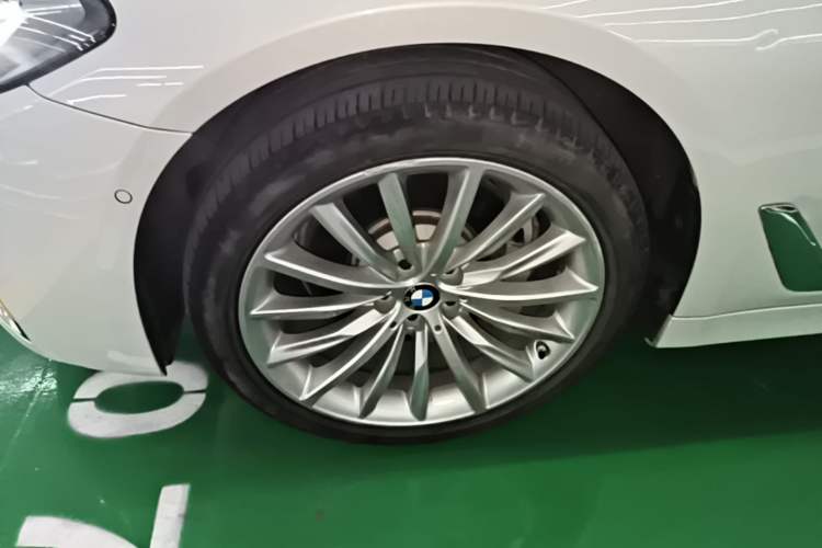 Used BMW 5 Series 2021 530Li Luxury Edition Premium Package Exterior 4