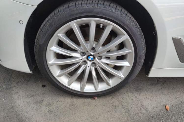Used BMW 5 Series 2021 530Li Luxury Edition Premium Package Exterior 4