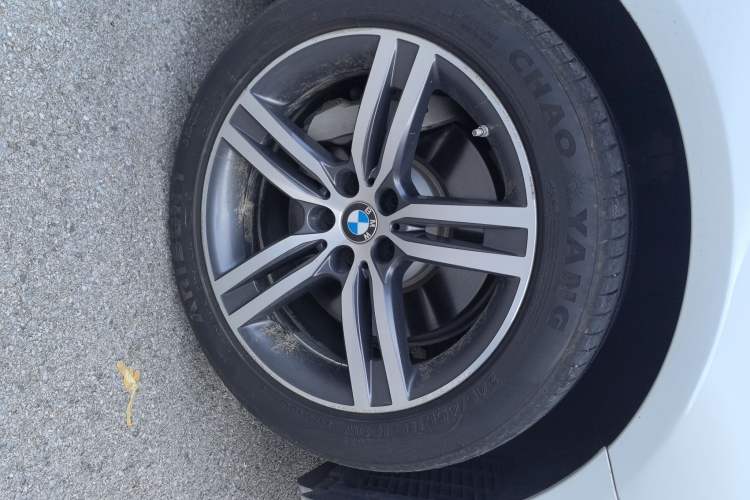 Used BMW 5 Series 2021 530Li Leading Luxury Package Exterior 4