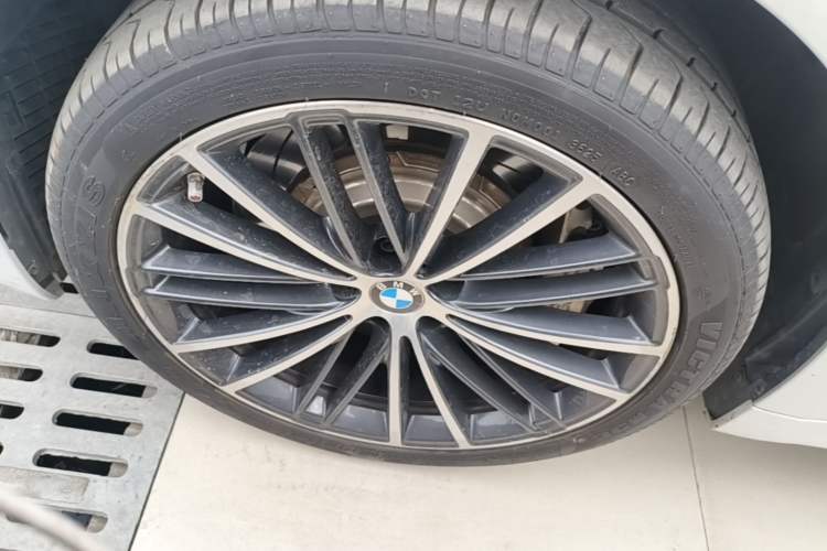 Used BMW 5 Series 2021 530Li Leading Model M Sport Package Exterior 4