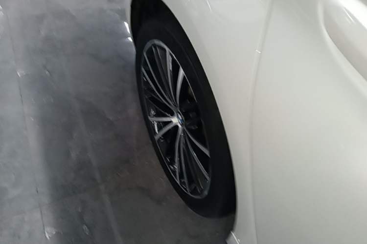 Used BMW 5 Series 2021 530Li Leading Model M Sport Package Exterior 5