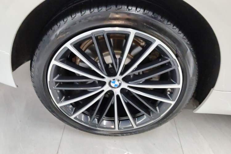 Used BMW 5 Series 2021 530Li Leading Model M Sport Package Exterior 5