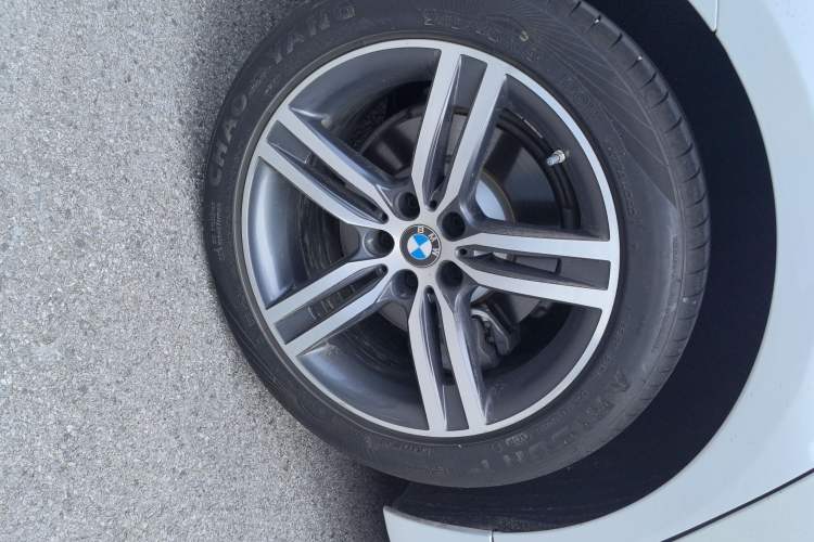 Used BMW 5 Series 2021 530Li Leading Luxury Package Exterior 5