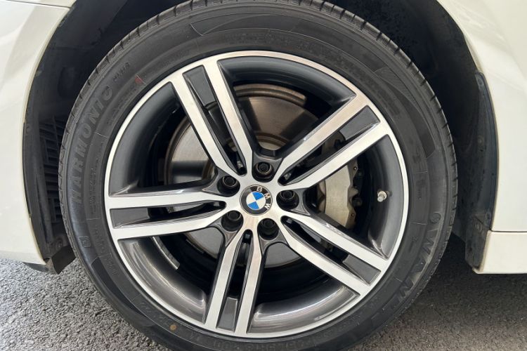 Used BMW 5 Series 2021 530Li Leading Luxury Package Exterior 8