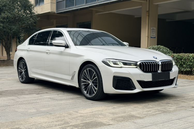 Used BMW 5 Series 2021 530Li Leading Model M Sport Package Exterior 8