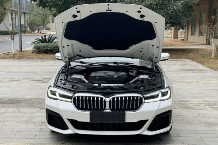 Used BMW 5 Series 2021 530Li Leading Model M Sport Package Exterior 9
