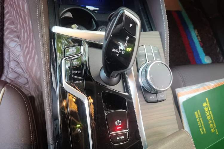 Used BMW 5 Series 2021 530Li xDrive Luxury Package Gear Lever