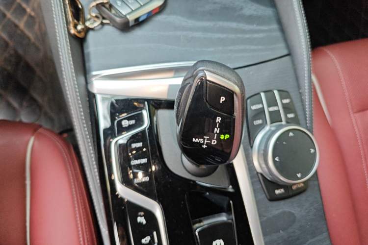 Used BMW 5 Series 2021 530Li Leading Model M Sport Package Gear Lever