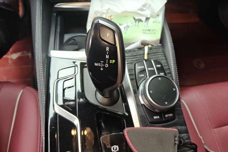 Used BMW 5 Series 2021 530Li xDrive Luxury Package Gear Lever