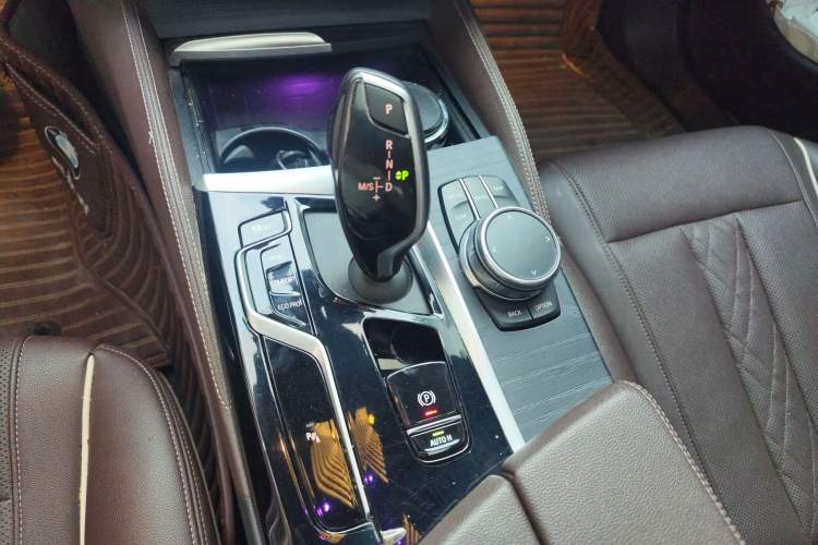 Used BMW 5 Series 2021 530Li Leading Model M Sport Package Gear Lever