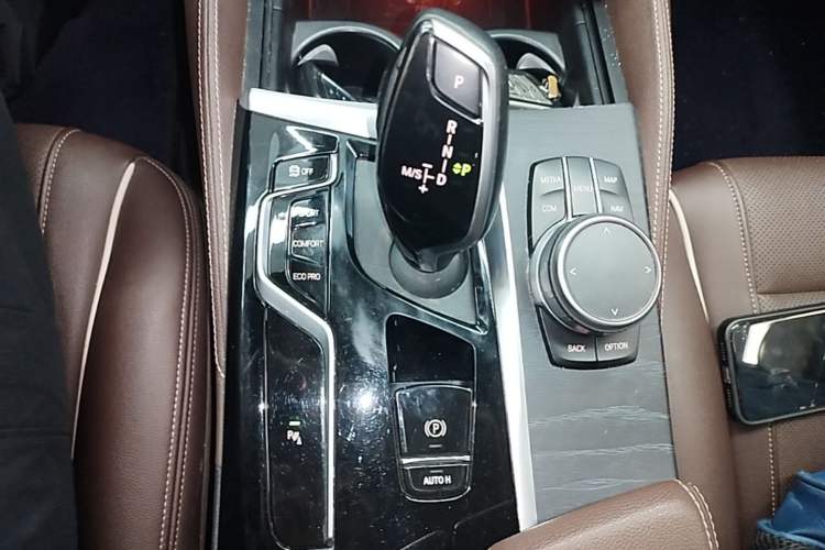 Used BMW 5 Series 2021 530Li Leading Model M Sport Package Gear Lever
