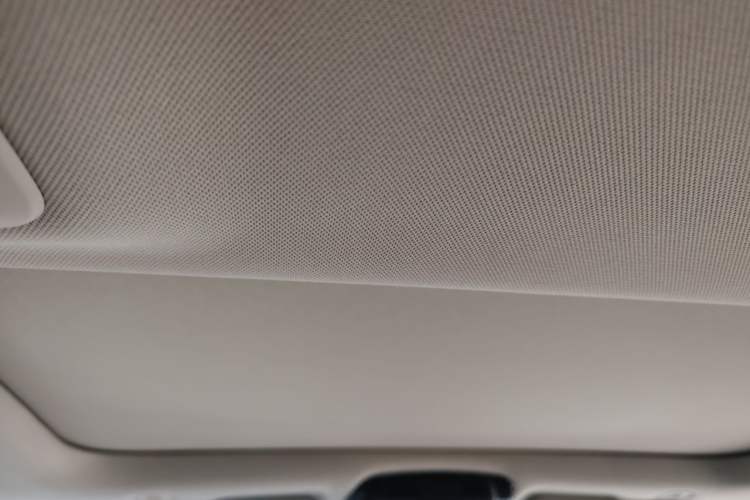Used BMW 5 Series 2021 530Li Luxury Edition Premium Package Headliner