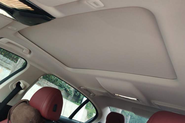 Used BMW 5 Series 2021 525Li Luxury Package Headliner