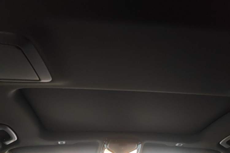 Used BMW 5 Series 2021 530Li xDrive M Sport Package Headliner