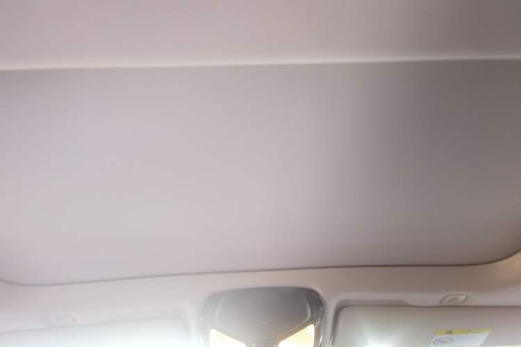 Used BMW 5 Series 2021 530Li xDrive Luxury Package Headliner