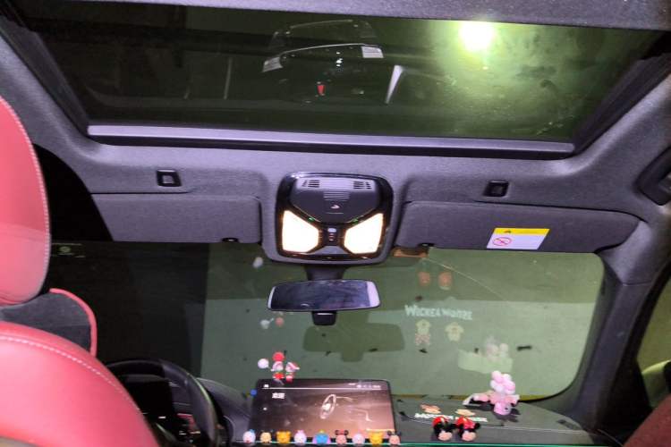 Used BMW 5 Series 2021 525Li M Sport Package Headliner