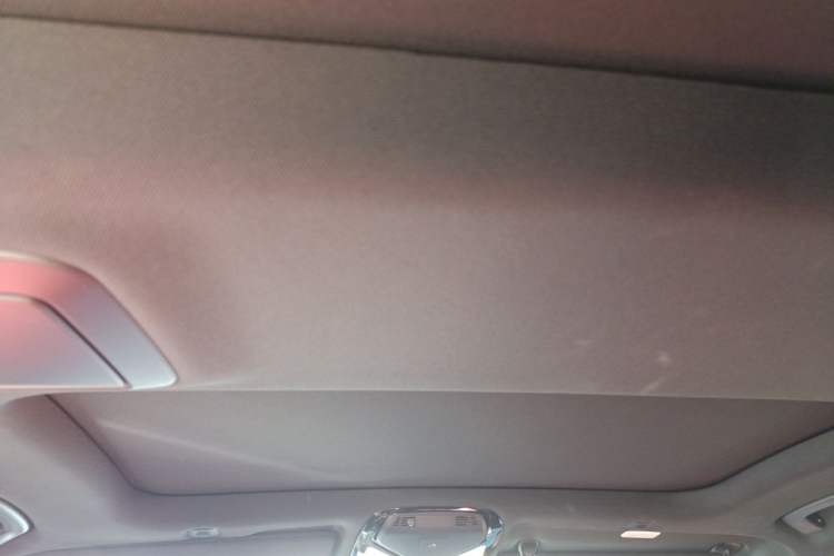 Used BMW 5 Series 2021 530Li Leading Model M Sport Package Headliner