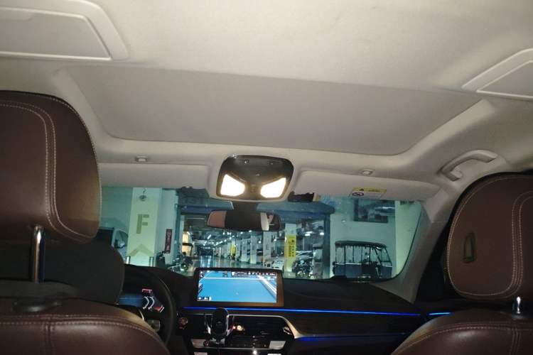Used BMW 5 Series 2021 530Li Leading Luxury Package Headliner