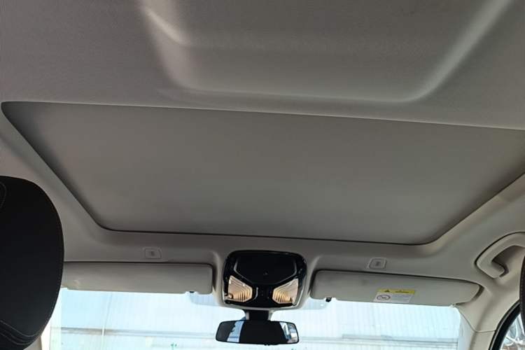 Used BMW 5 Series 2021 525Li Luxury Package Headliner