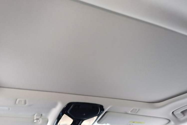 Used BMW 5 Series 2021 Updated Version 525Li Luxury Package Headliner