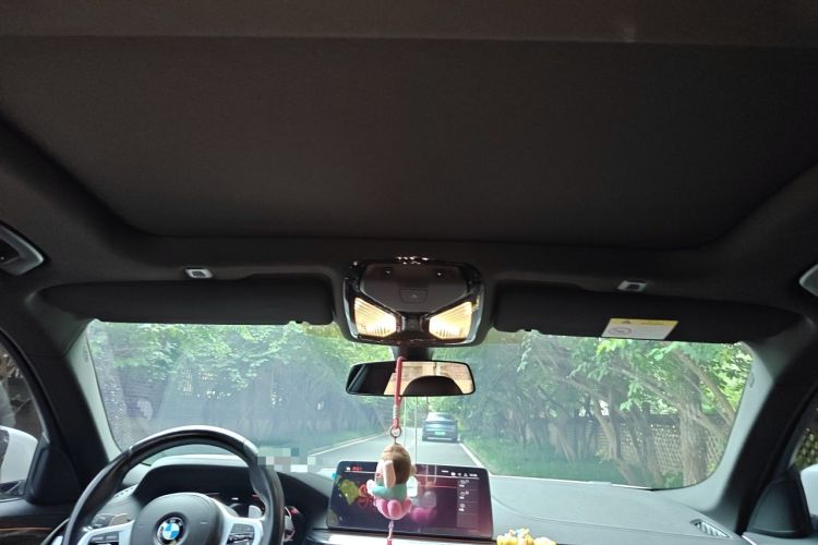 Used BMW 5 Series 2021 530Li xDrive Luxury Package Headliner
