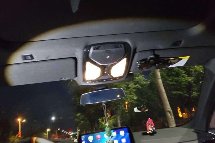 Used BMW 5 Series 2021 530Li Leading Model M Sport Package Headliner