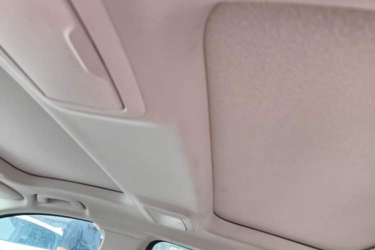 Used BMW 5 Series 2021 530Li Leading Luxury Package Headliner