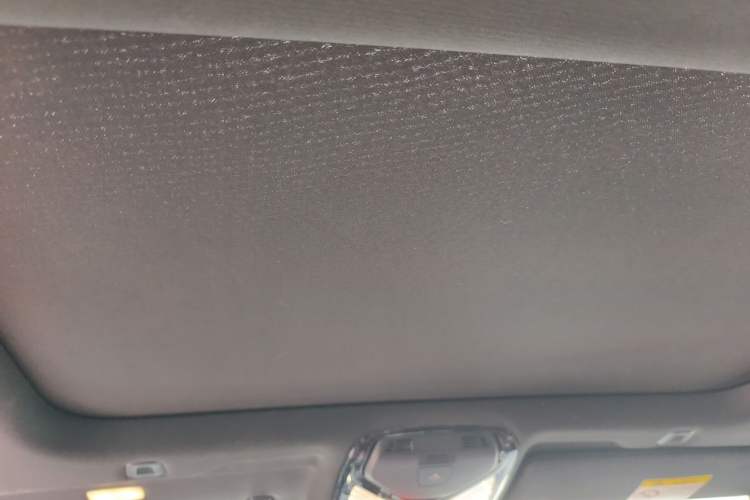 Used BMW 5 Series 2021 530Li Leading Model M Sport Package Headliner