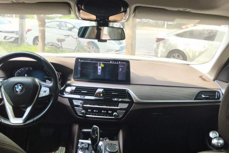 Used BMW 5 Series 2021 530Li Leading Luxury Package Headliner