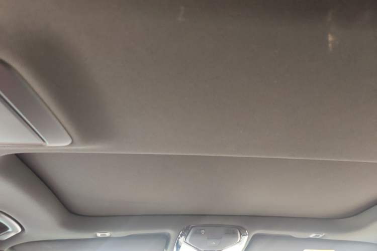 Used BMW 5 Series 2021 530Li Leading Model M Sport Package Headliner
