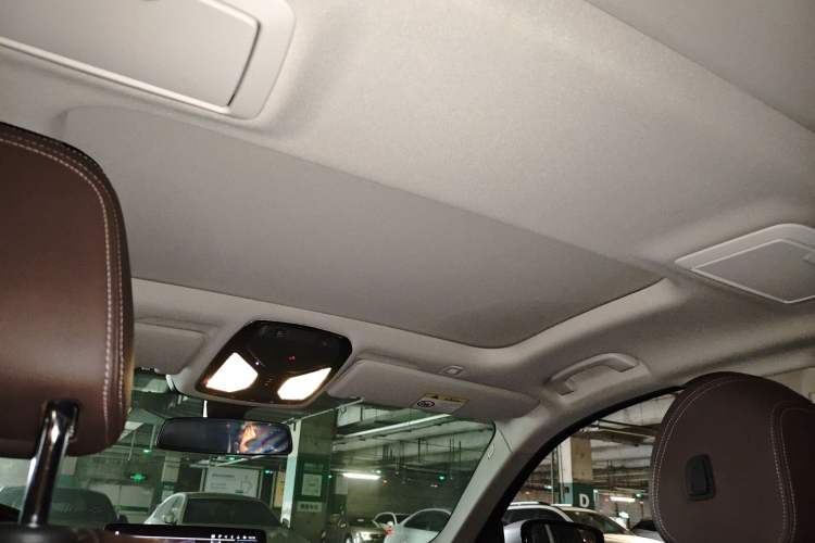 Used BMW 5 Series 2021 530Li Leading Luxury Package Headliner