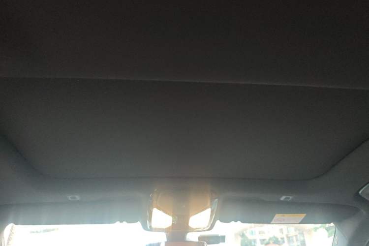 Used BMW 5 Series 2021 530Li Luxury Edition M Sport Package Headliner