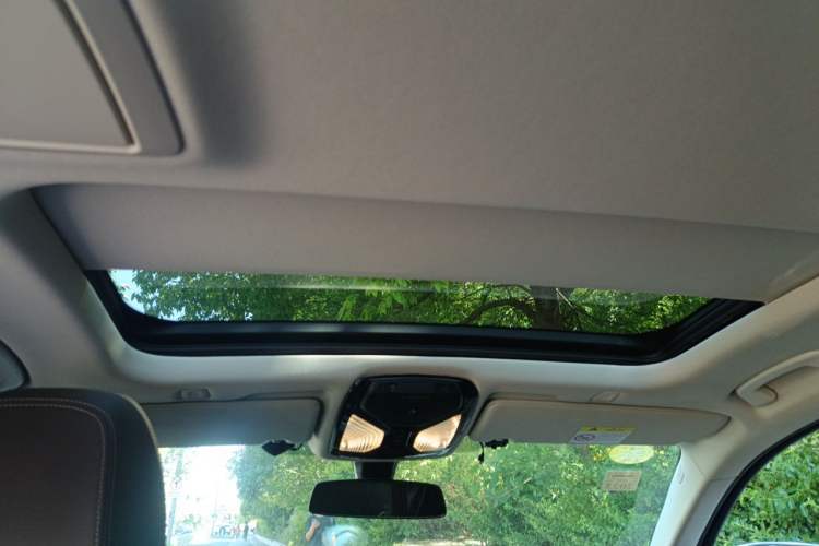 Used BMW 5 Series 2021 530Li Leading Luxury Package Headliner