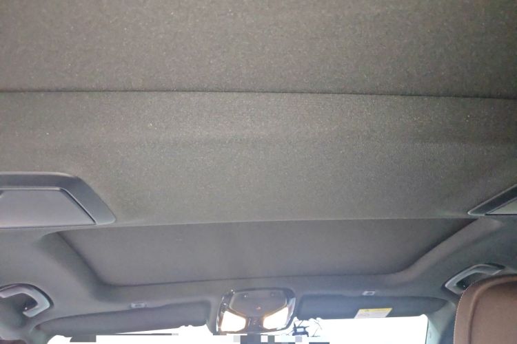 Used BMW 5 Series 2021 530Li Luxury Edition M Sport Package Headliner