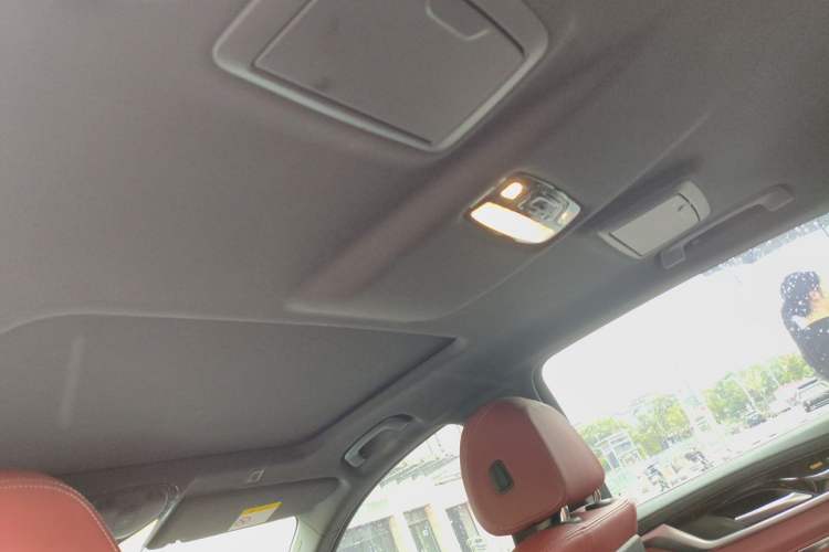 Used BMW 5 Series 2021 525Li M Sport Package Headliner