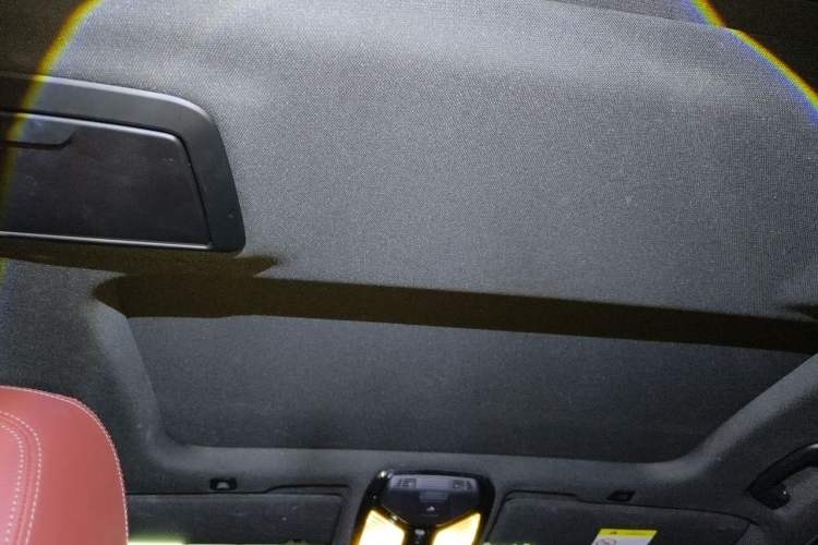 Used BMW 5 Series 2021 530Li Leading Model M Sport Package Headliner