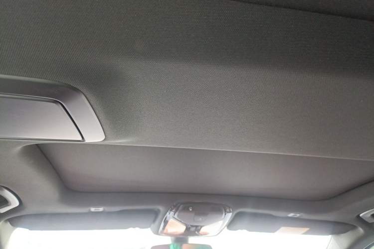 Used BMW 5 Series 2021 530Li Leading Model M Sport Package Headliner