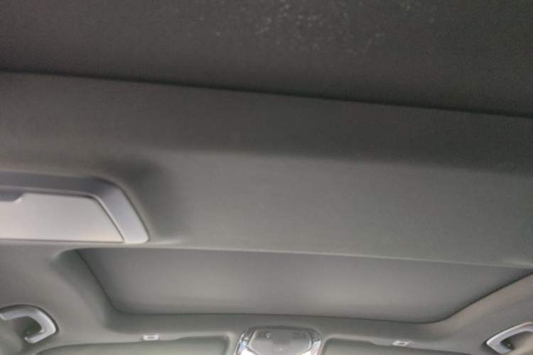 Used BMW 5 Series 2021 530Li Luxury Edition M Sport Package Headliner