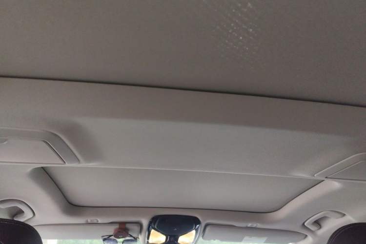 Used BMW 5 Series 2021 Restyled 530Li Leading Edition Luxury Package Headliner