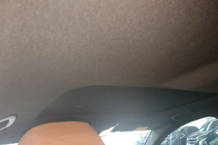 Used BMW 5 Series 2021 525i M Sport Package Headliner