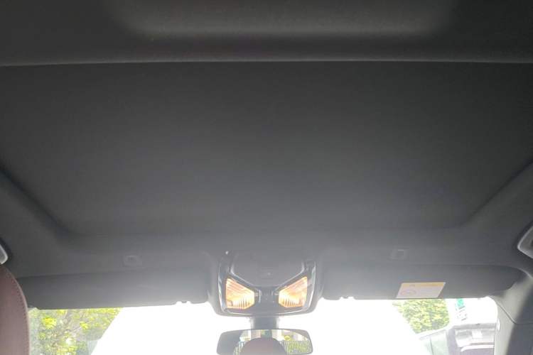 Used BMW 5 Series 2021 525Li M Sport Package Headliner