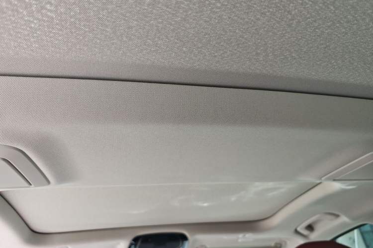 Used BMW 5 Series 2021 530Li Leading Model M Sport Package Headliner