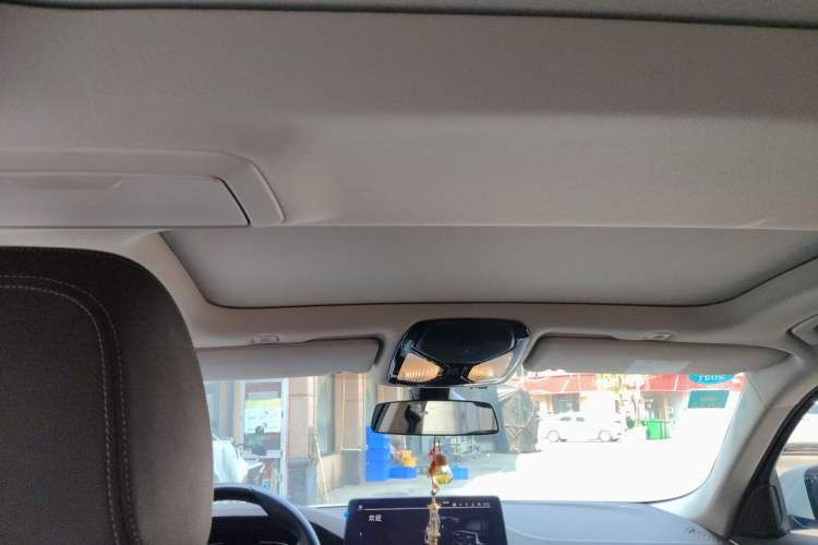 Used BMW 5 Series 2021 530Li Leading Luxury Package Headliner