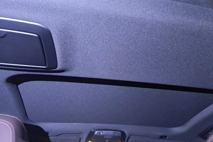 Used BMW 5 Series 2021 530Li Leading Model M Sport Package Headliner