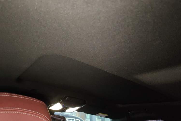 Used BMW 5 Series 2021 Facelifted 525Li M Sport Package Headliner