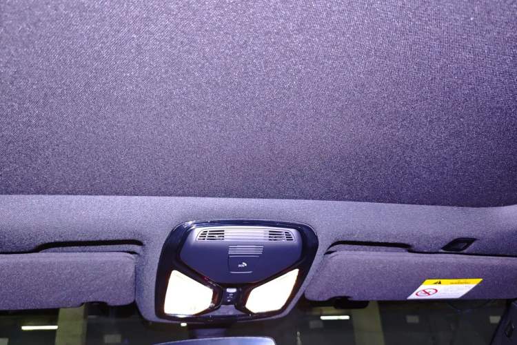 Used BMW 5 Series 2021 530Li Luxury Edition M Sport Package Headliner