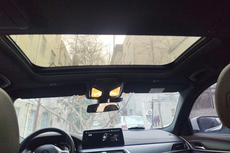 Used BMW 5 Series 2021 530Li Leading Model M Sport Package Headliner