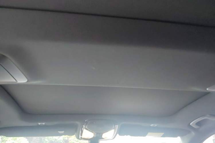 Used BMW 5 Series 2021 530Li Luxury Edition M Sport Package Headliner