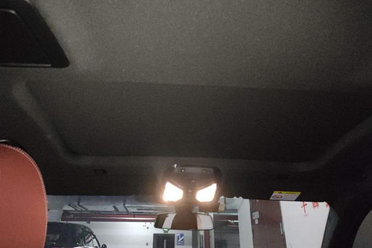Used BMW 5 Series 2021 530Li Leading Model M Sport Package Headliner